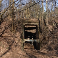 Betonowy tunel w lesie