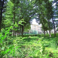 Park Wiśniewo