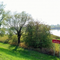 Widok na rezerwat od strony Białołęki