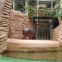 Hipopotamiarnia