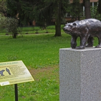 Rzeźba niedźwiedzia