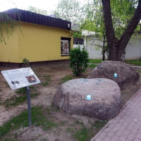 Głaz narzutowy - granit biotytowy przy ul. Mozarta 3