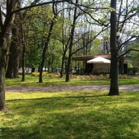 Pawilon w Parku