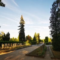 Fragment głównej alei cmentarnej
