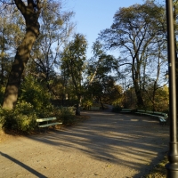 Alejka w parku