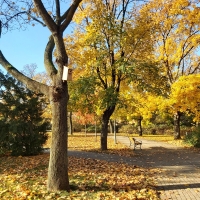Park im. Obwodu Praga Armii Krajowej