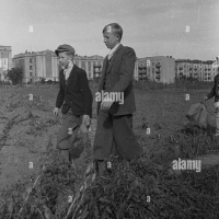 ROD przy al. Niepodległości