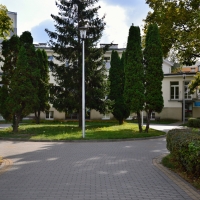 Zakład Lecznictwa Otwartego