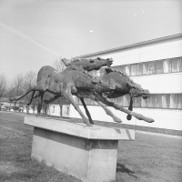 Pomnik przedstawiający pędzące konie