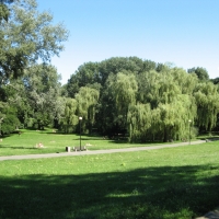 Dolna część parku