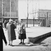Kobieta handlująca baziami przed budynkiem Supersamu